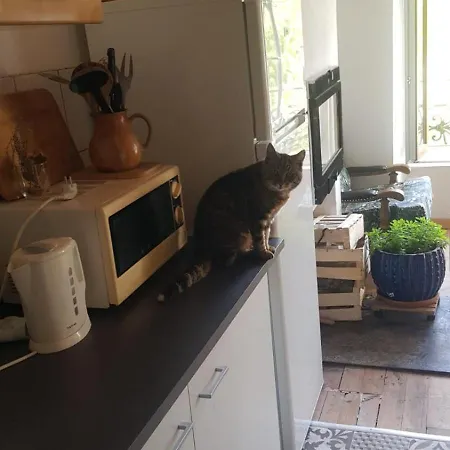 De L'ecole * Saint-Louis-et-Parahou